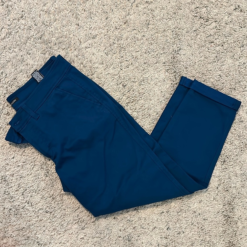 41 Hawthorn dress pant size 12P blue
